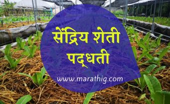 Organic Farming